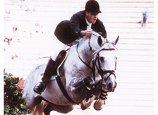 Cruising - Irish Showjumping Stallion